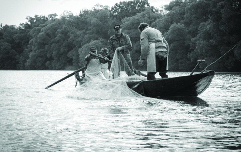 Dunaradványi halászok 1