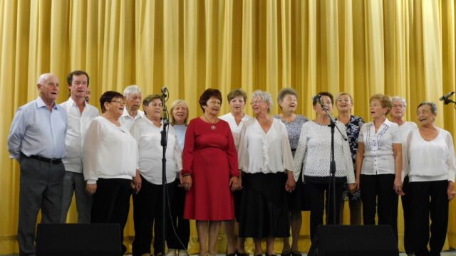 Megbecsültek délutánja Naszvadon