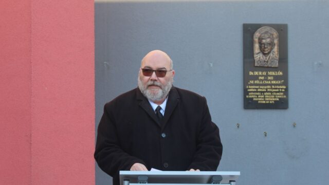 Somogyi Alfréd (Szalai Erika felvétele)